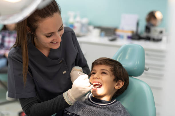Best Emergency Dental Care for Trauma or Injury in Halsey, OR